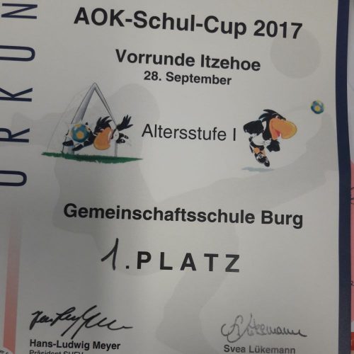 aokschulfußball5
