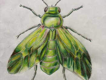 Permalink zu:Bild des Monats