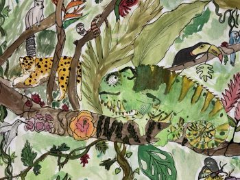 Permalink zu:Bild des Monats