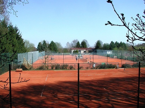 Tennisanlage aus Richtung Wald