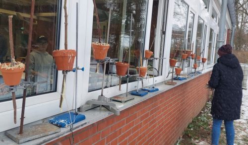 Winterfütterung 2026